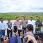 IMG-20260517-WA0029