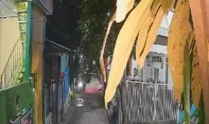 IMG-20260519-WA0087